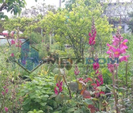 продам участок